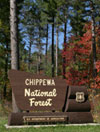 Chippewa National Forest